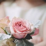 https://s-media-cache-ak0.pinimg.com/736x/1c/75/38/1c7538bba4d53b182de0cc096fedfdfa--rose-flowers-pink-roses.jpg