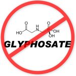 http://www.i-sis.org.uk/graphics/Independent_Scientists_Manifesto_on_Glyphosate_470.jpg