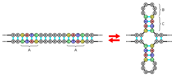 Image default